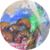 h[ic