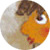 09009